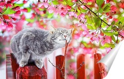   Постер котенок в майском саду