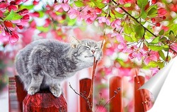  кошка весной