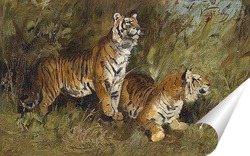  Тигры 51030