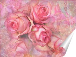  Розовая Орхидея