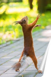  cute young squirrel on tree with held out paw against blurred winter forest in background.	