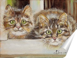   Постер Картина коты