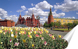  Picture_001