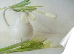   Постер Белые тюльпаны