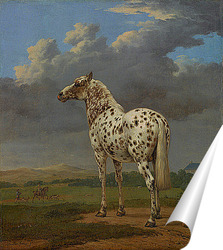   Постер Пегая Лошадь