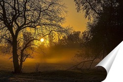  Утреннее сияние 