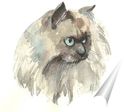   Постер Кот Мурзик