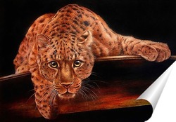  леопард