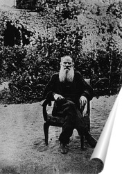   Постер CS009409