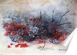   Постер Ветки черноплодной и калины