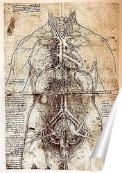  Постер Leonardo da Vinci-39