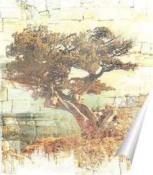  Красочный парк