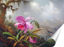  Две колибри на ветке рядом с двумя орхидеями