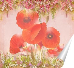   Постер Красные маки