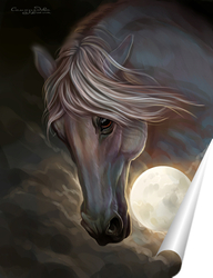  Постер Лошадь и луна