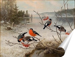   Постер Снегири и зимний пейзаж
