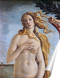   Постер Botticelli-2