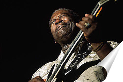   Постер B.B.King