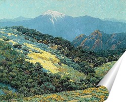   Постер Великолепная долина