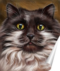   Постер Пушистый котик 