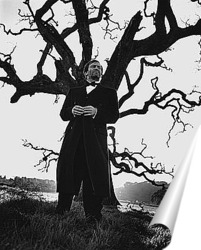   Постер OUT915052