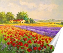   Постер Цветы Прованса