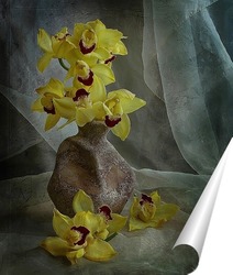   Постер Букет орхидей