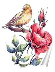   Постер Шиповник и птица