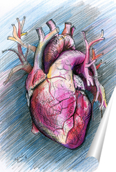   Постер Сердце