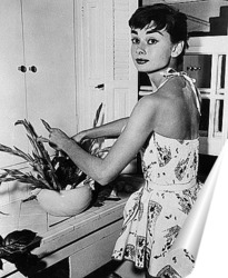   Постер Одри Хёпбёрн на кухне,1954г.