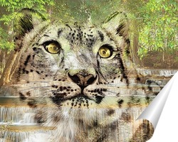   Постер Снежный леопард
