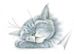   Постер Спящий котишка