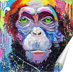   Постер Шимпанзе