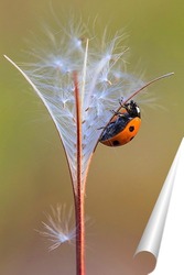  The wasp is sitting on green leaves. The dangerous yellow-and-black striped common Wasp sits on leaves	