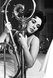  Elizabeth Taylor-15