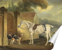   Постер Лошадь и гончие