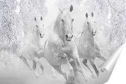   Постер Зимние лошади