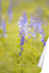  Постер Летнее настроение 