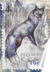  Портрет волка
