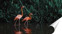  Фламинго на водопое