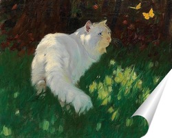   Постер Белая кошка и бабочки 
