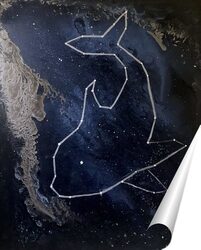   Постер Созвездие косатки