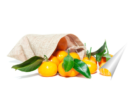   Постер Pile of mandarins with leaf isolated on white background