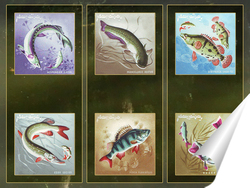   Постер Рыбы