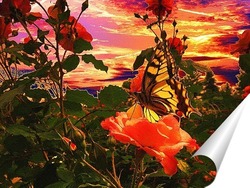   Постер Бабочка и роза