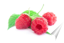   Постер Raspberry on white background