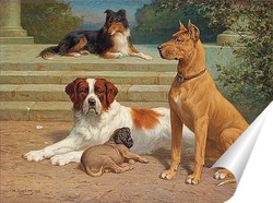   Постер Группа собак на лестнице