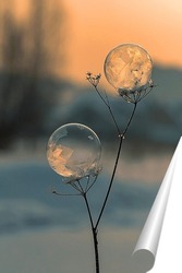   Постер Замёрзшие мыльные пузыри
