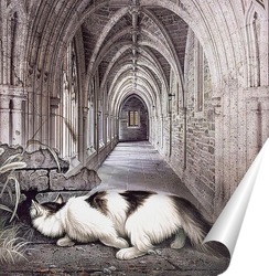   Постер Кошка в замке