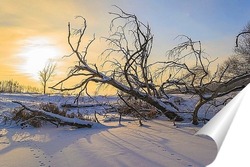  Поваленное дерево на снегу